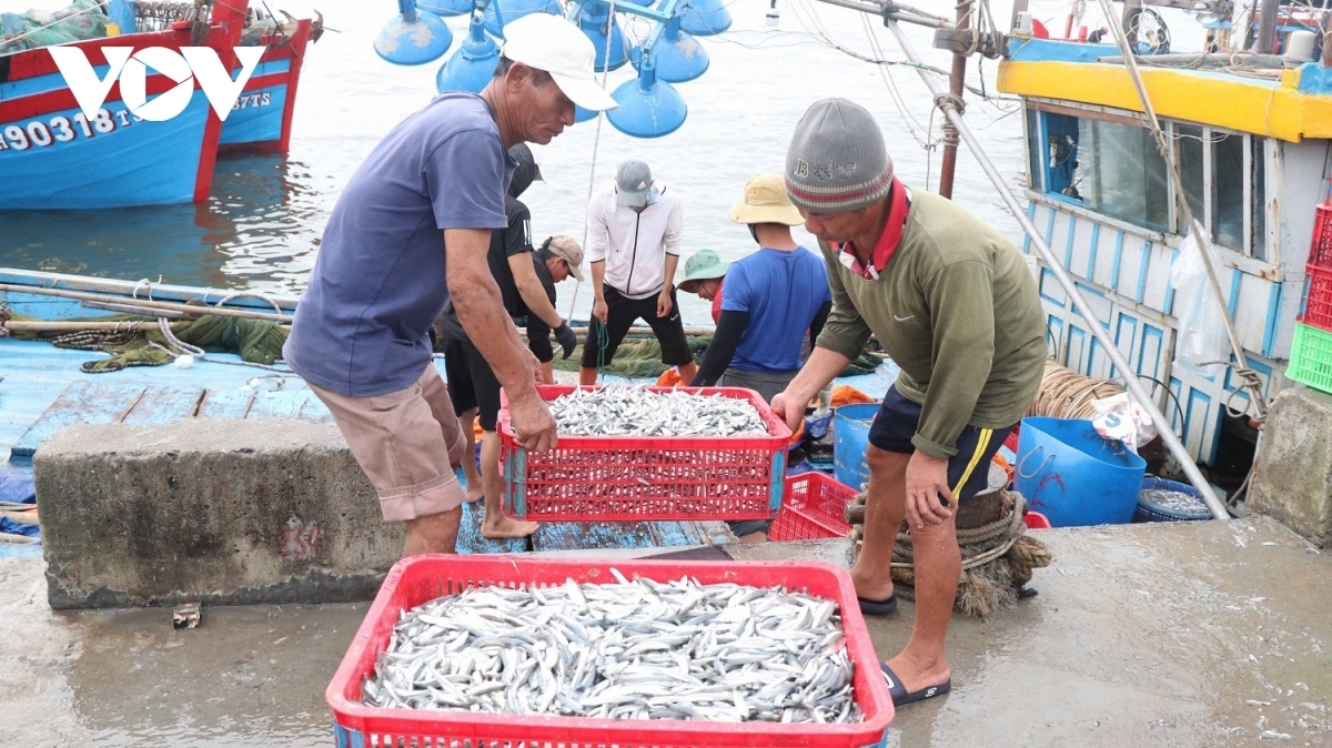Chống khai thác hải sản bất hợp pháp: Cần sự vào cuộc của cả hệ thống